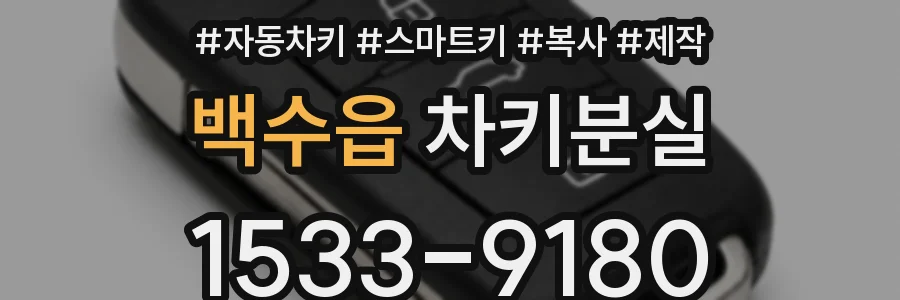 백수읍 차키분실