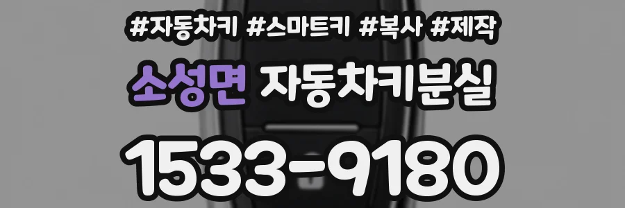 소성면 자동차키분실