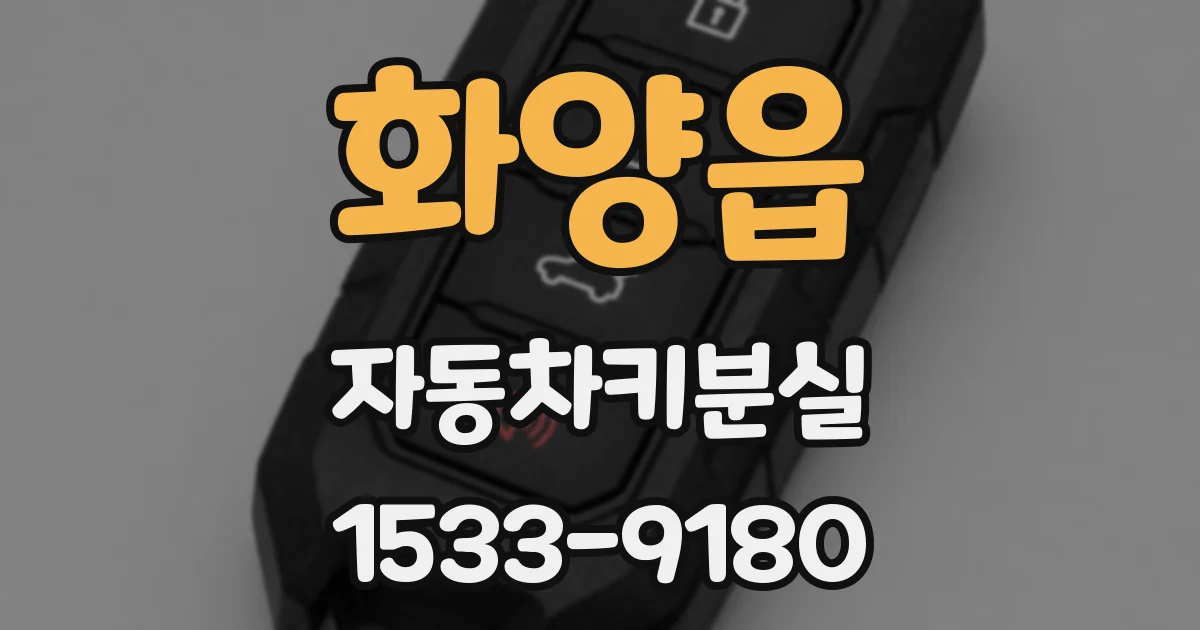 화양읍 자동차키분실