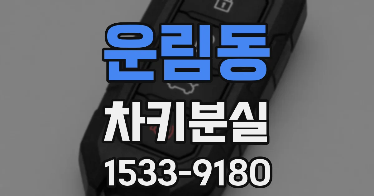 운림동 차키분실