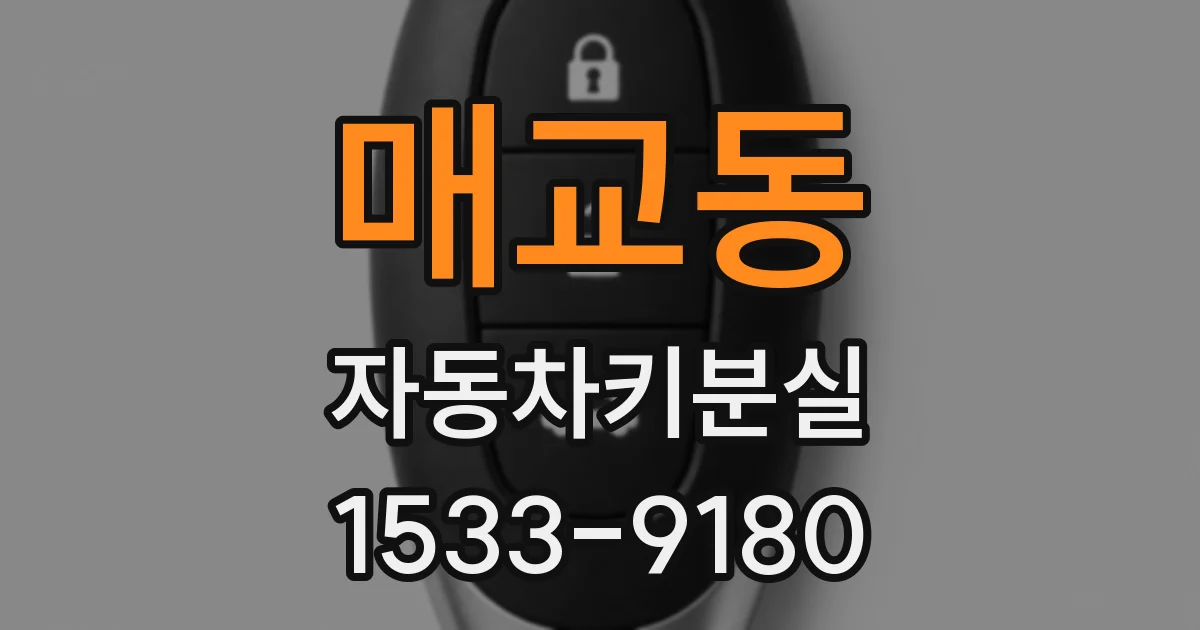 매교동 자동차키분실