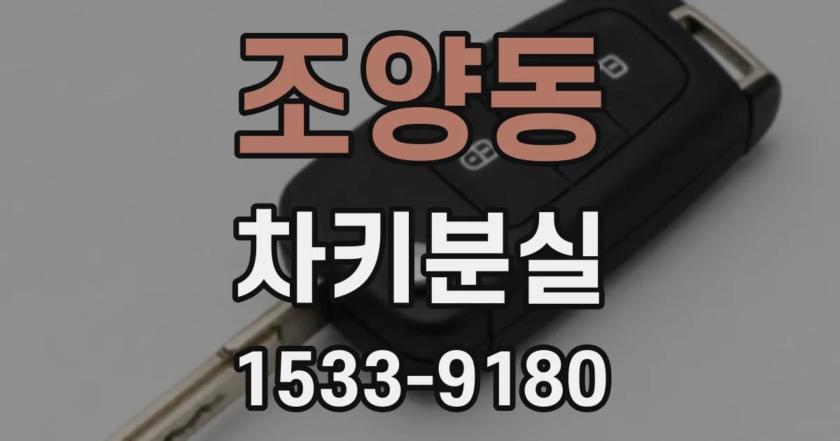 조양동 차키분실