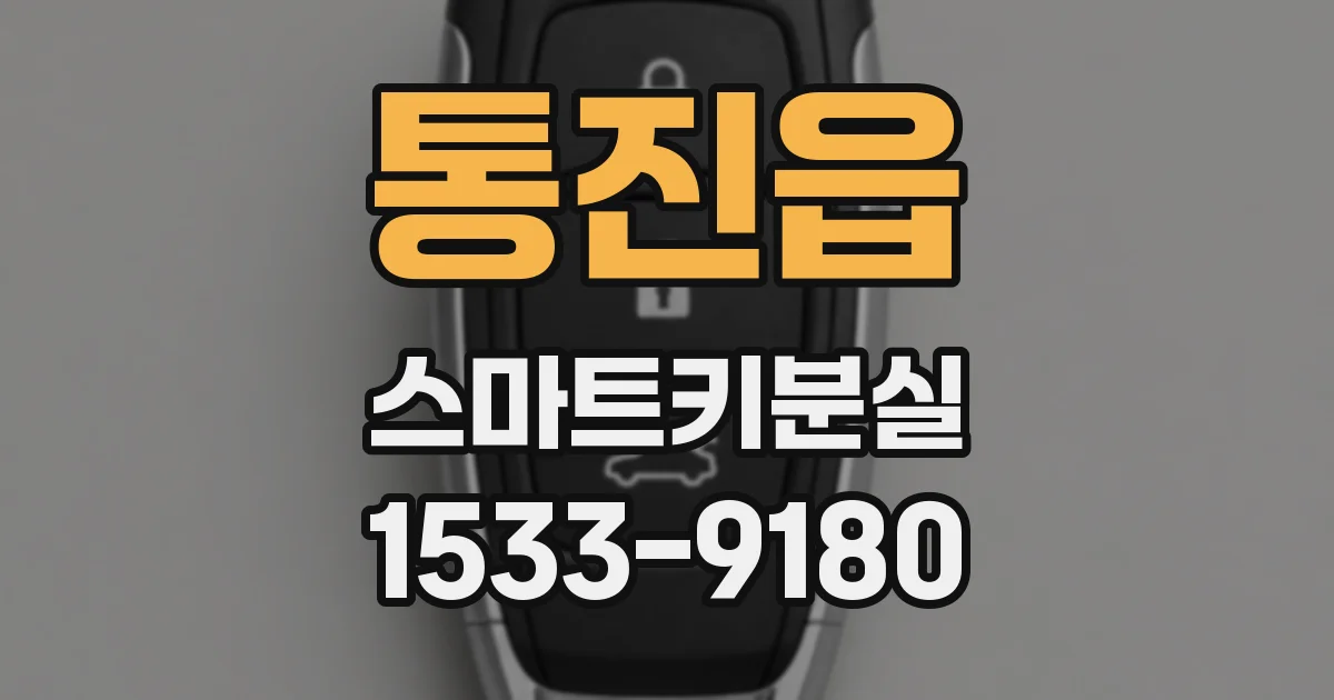 통진읍 스마트키분실