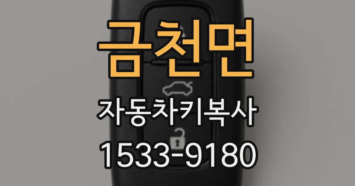 금천면 자동차키복사