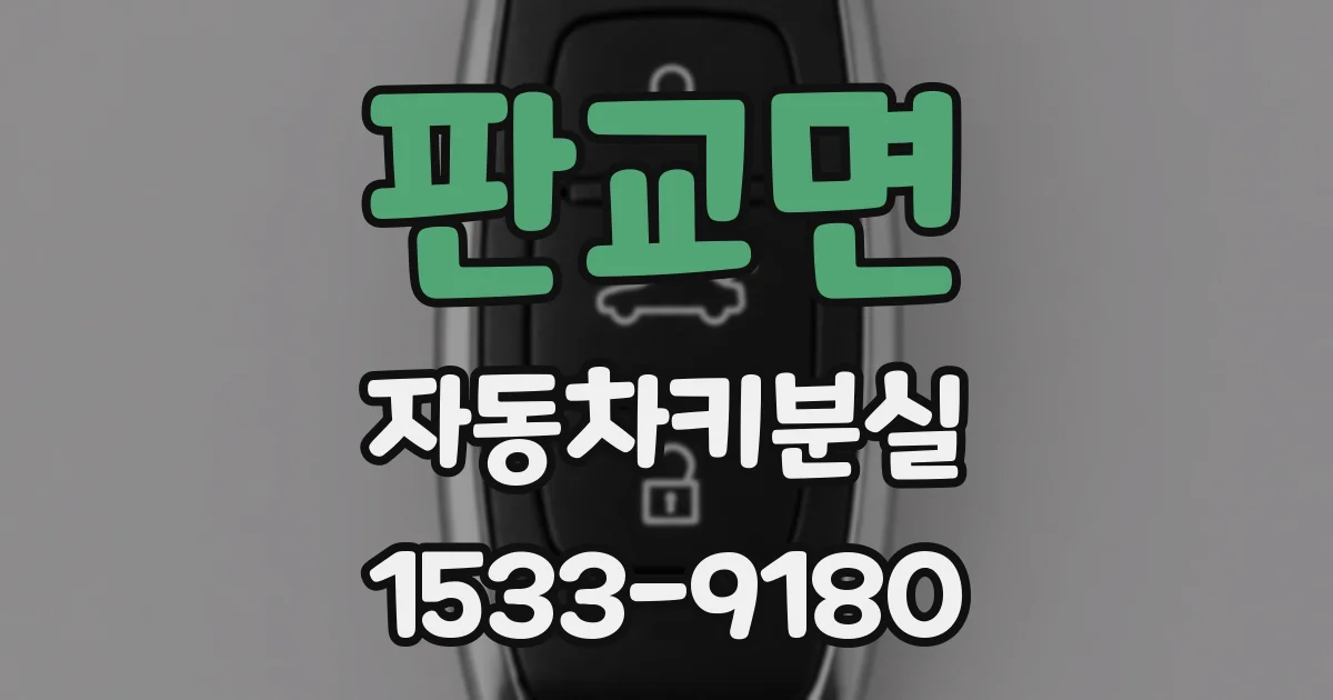 판교면 자동차키분실
