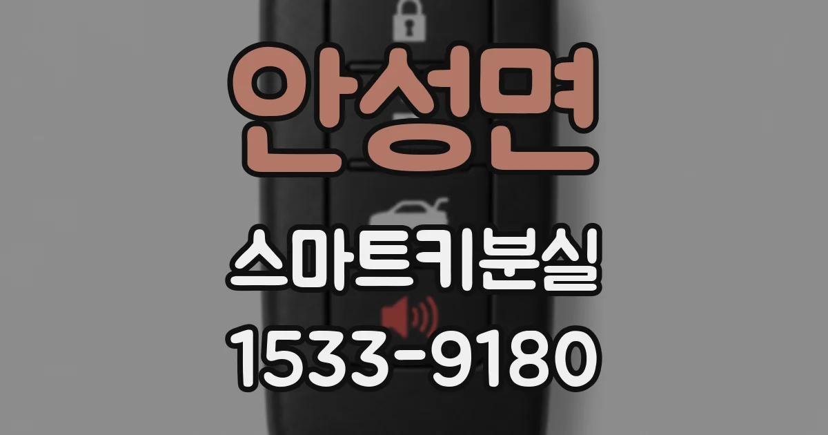 안성면 스마트키분실