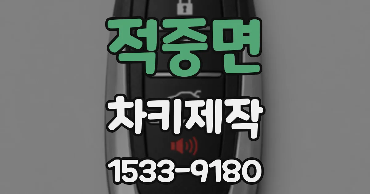 적중면 차키제작