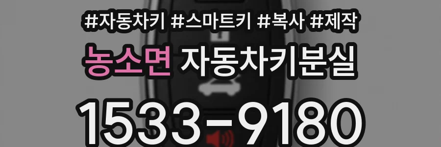 농소면 자동차키분실