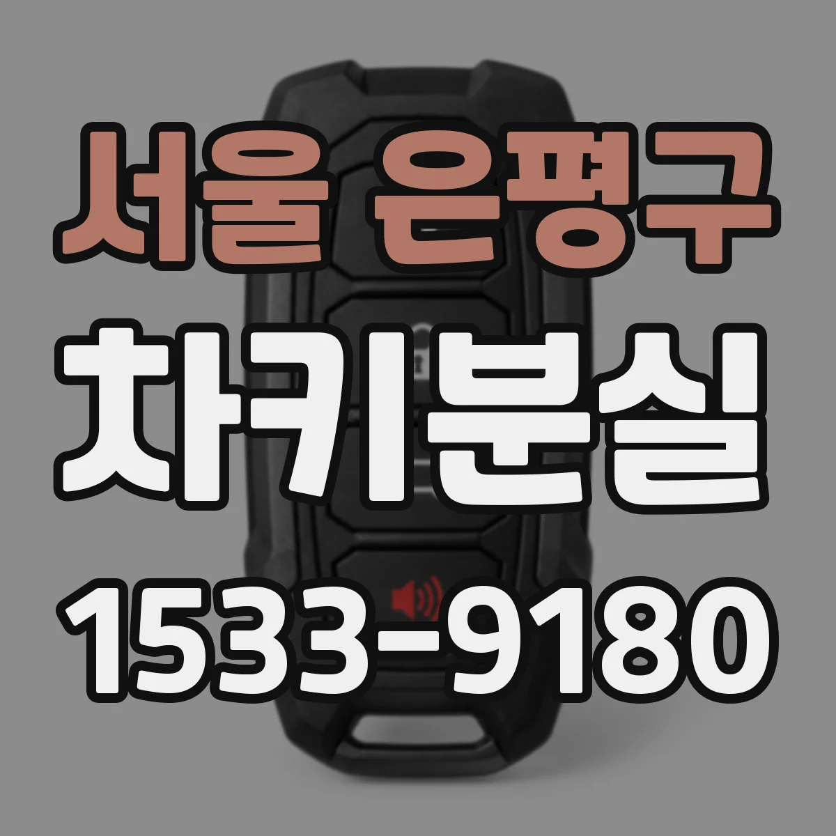 서울 은평구 차키분실