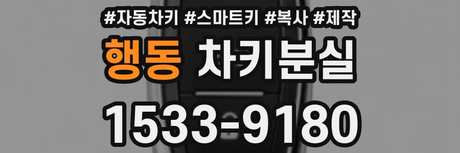 행동 차키분실