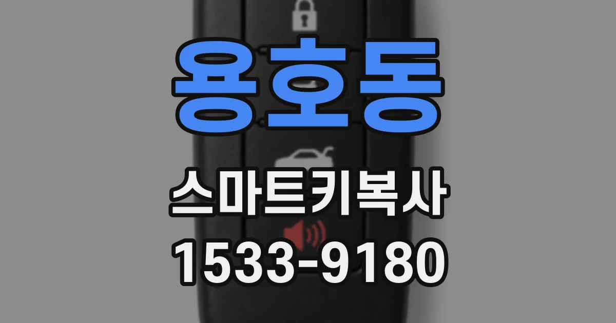 용호동 스마트키복사