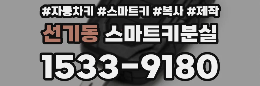 선기동 스마트키분실