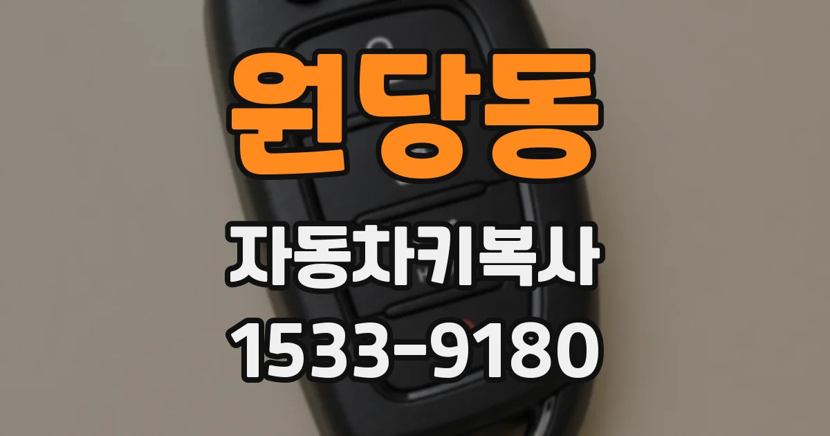 원당동 자동차키복사