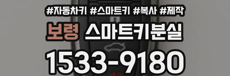 보령 스마트키분실