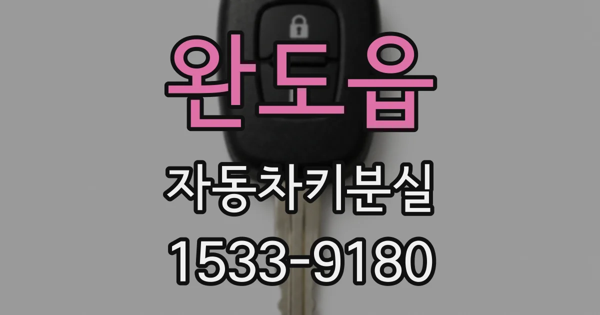 완도읍 자동차키분실