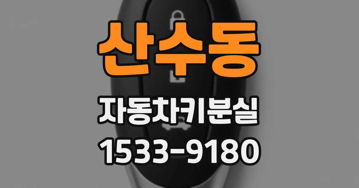 산수동 자동차키분실