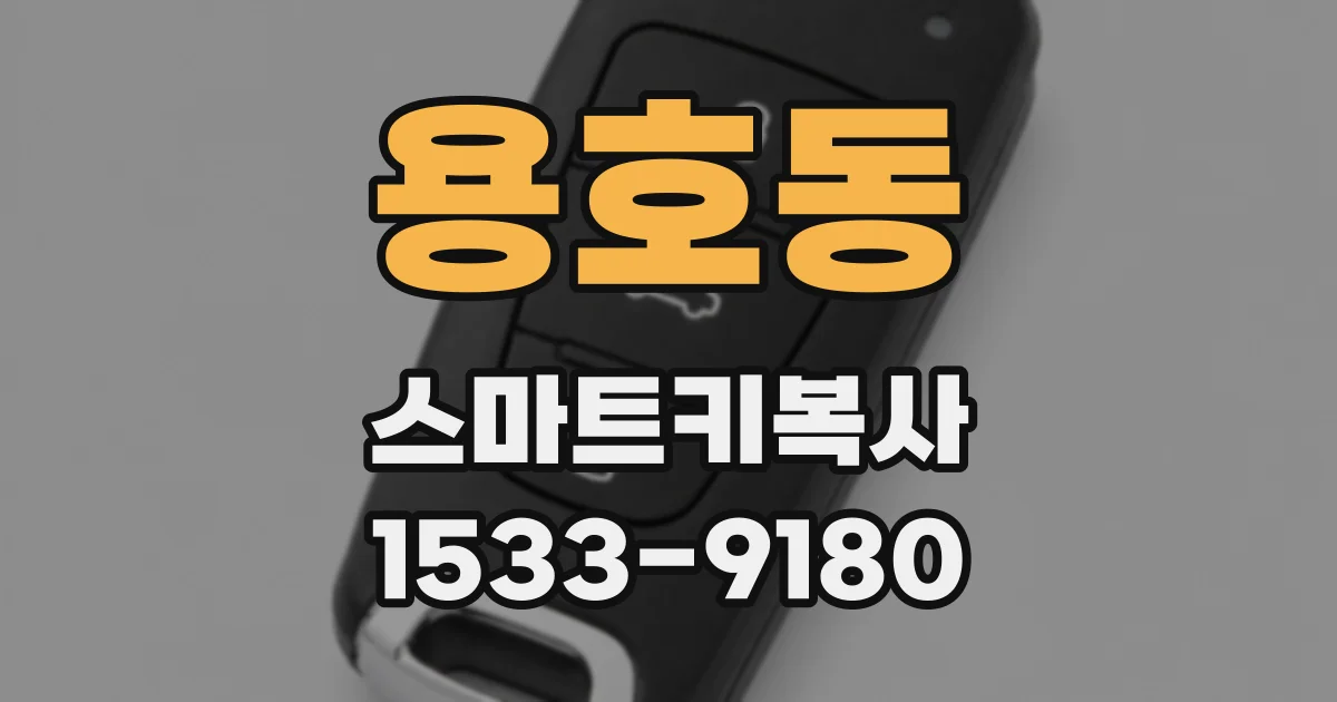 용호동 스마트키복사