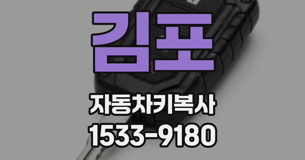 김포 자동차키복사