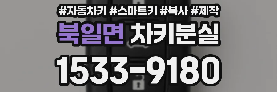 북일면 차키분실