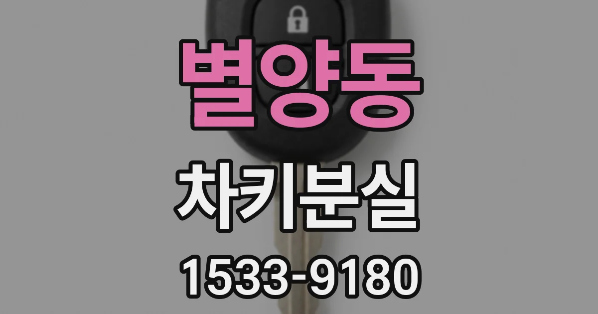 별양동 차키분실