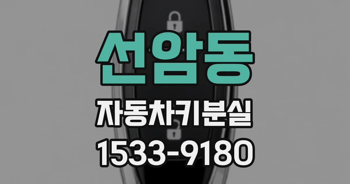 선암동 자동차키분실