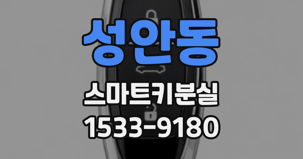 성안동 스마트키분실