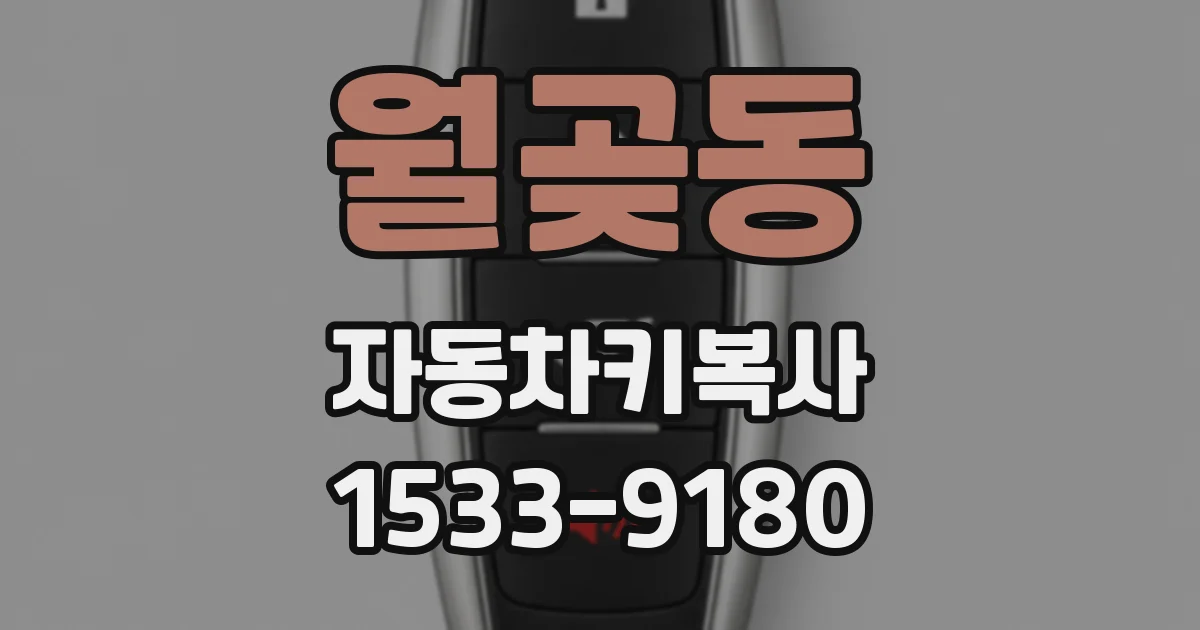 월곶동 자동차키복사
