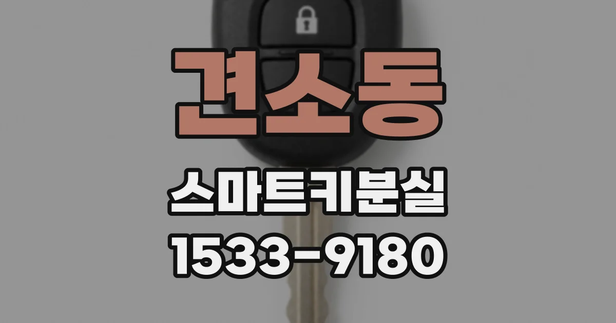 견소동 스마트키분실