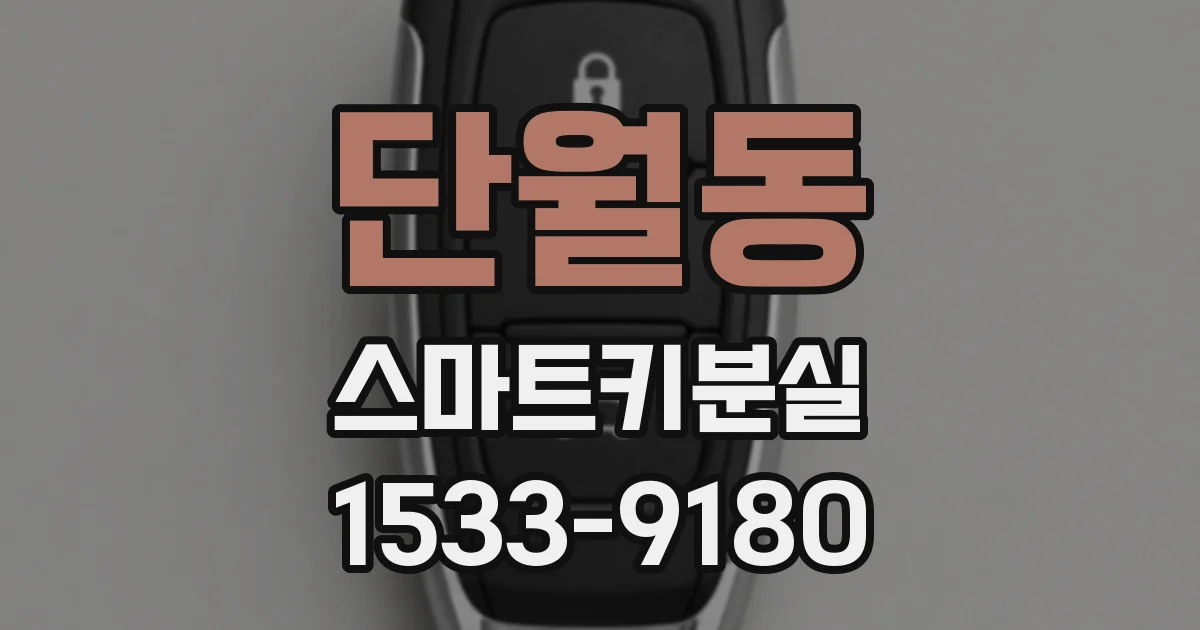 단월동 스마트키분실