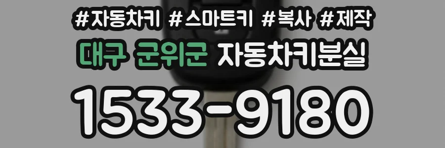 대구 군위군 자동차키분실