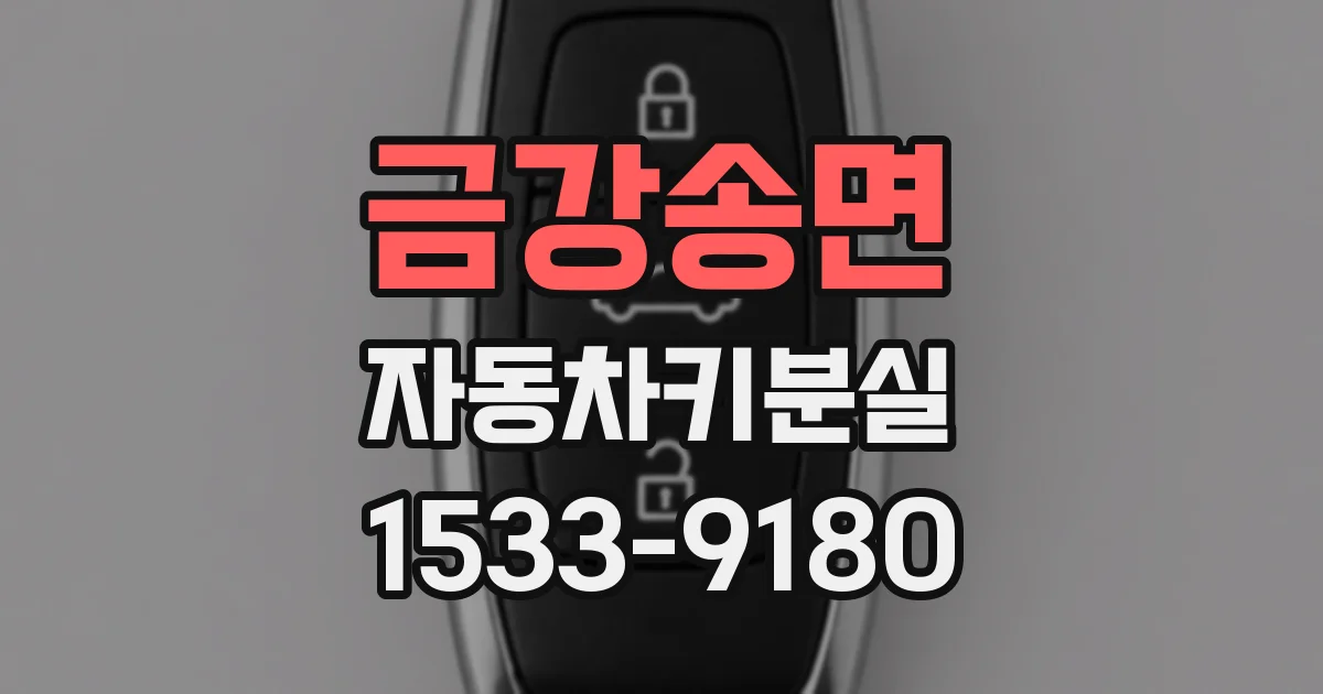 금강송면 자동차키분실