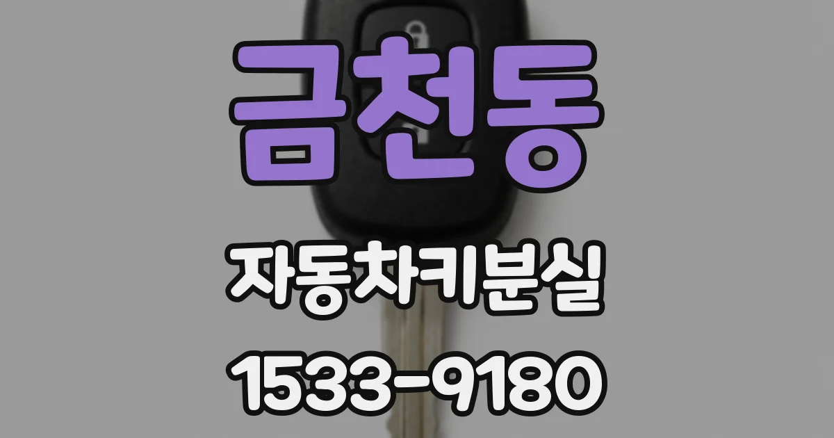 금천동 자동차키분실