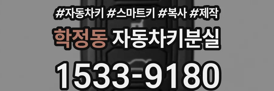 학정동 자동차키분실