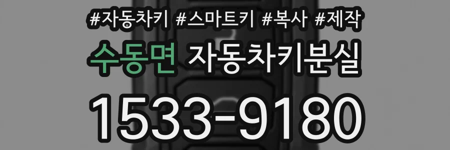 수동면 자동차키분실