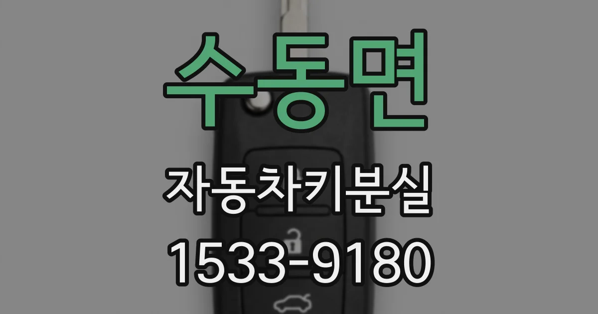 수동면 자동차키분실