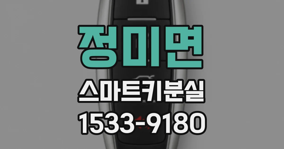 정미면 스마트키분실