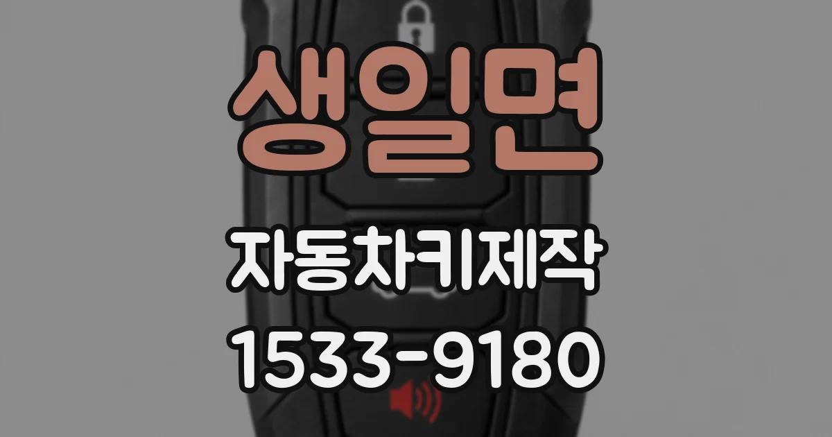 생일면 자동차키제작
