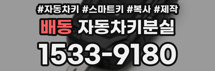 배동 자동차키분실