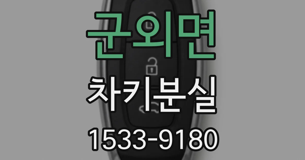 군외면 차키분실