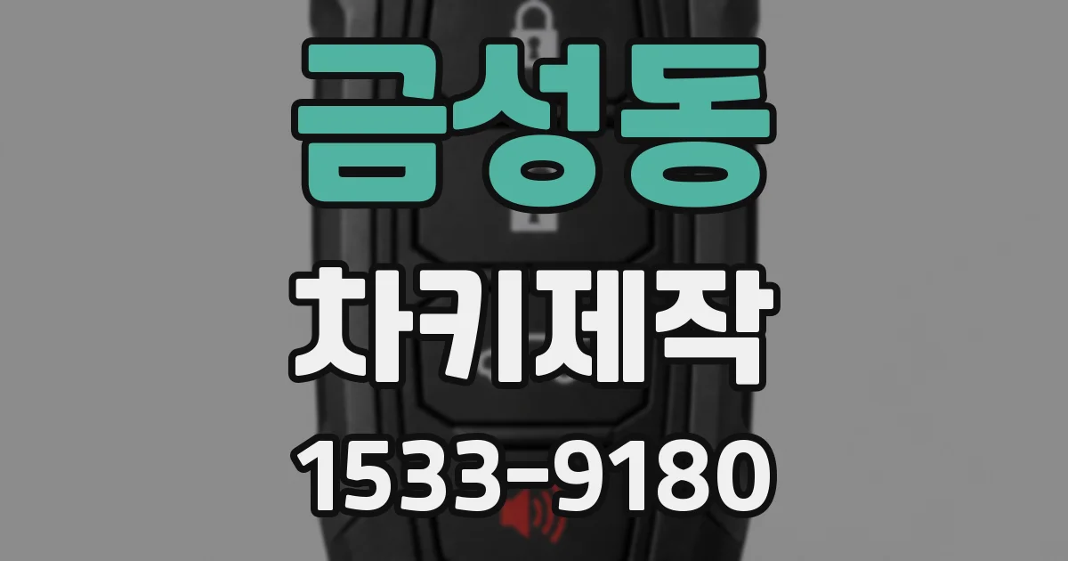 금성동 차키제작