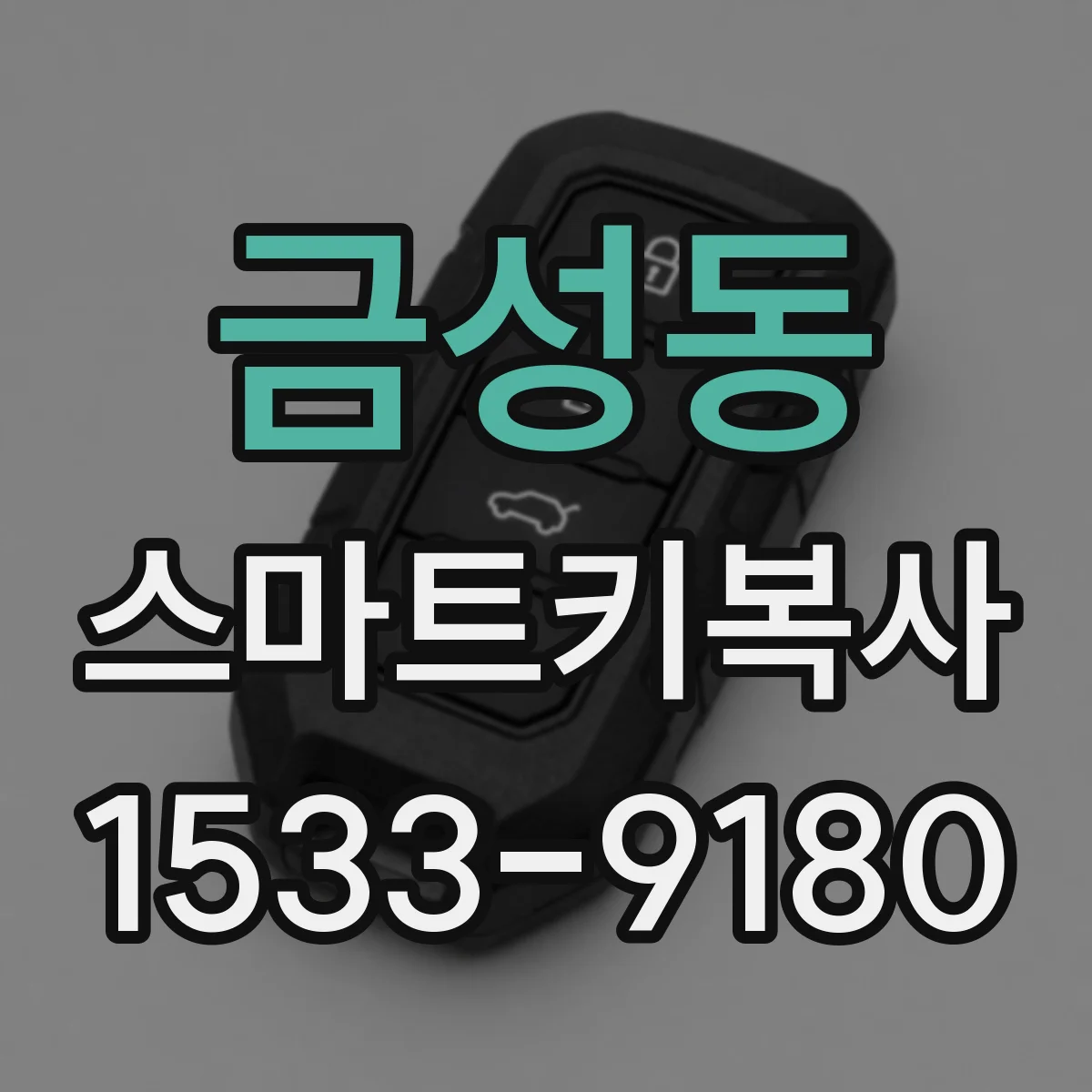 금성동 스마트키복사