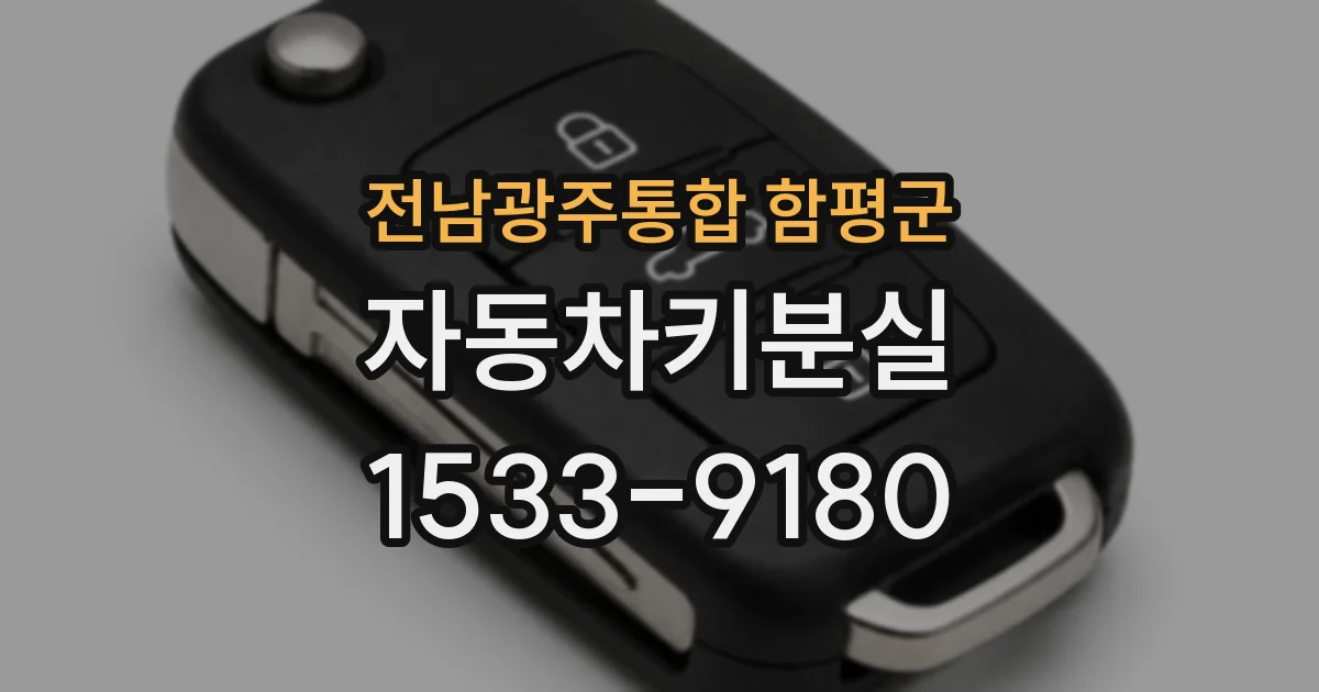 전남광주통합 함평군 자동차키분실