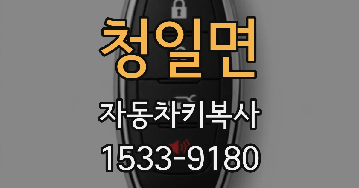 청일면 자동차키복사