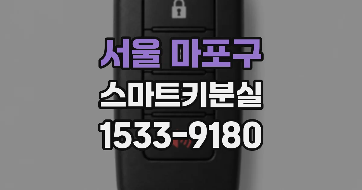 서울 마포구 스마트키분실