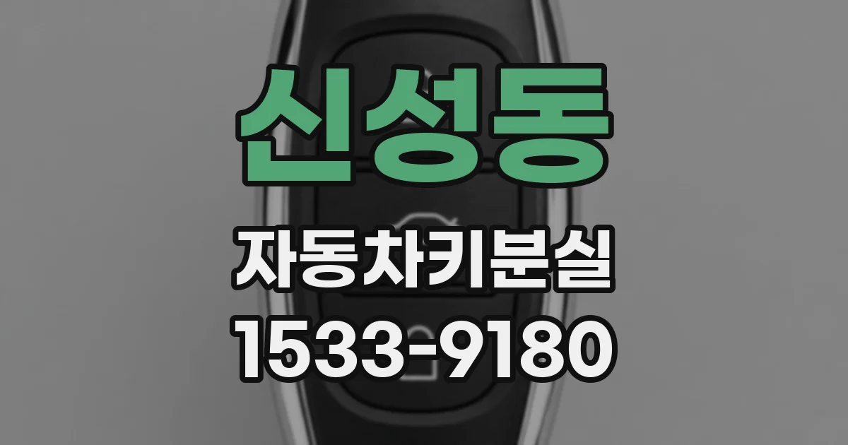 신성동 자동차키분실