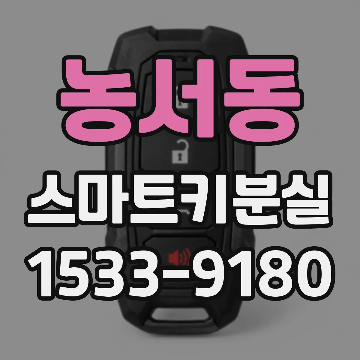 농서동 스마트키분실