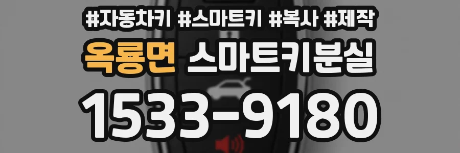 옥룡면 스마트키분실