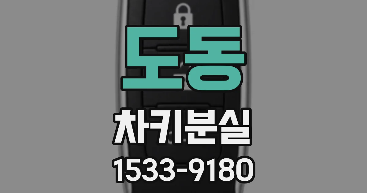 도동 차키분실