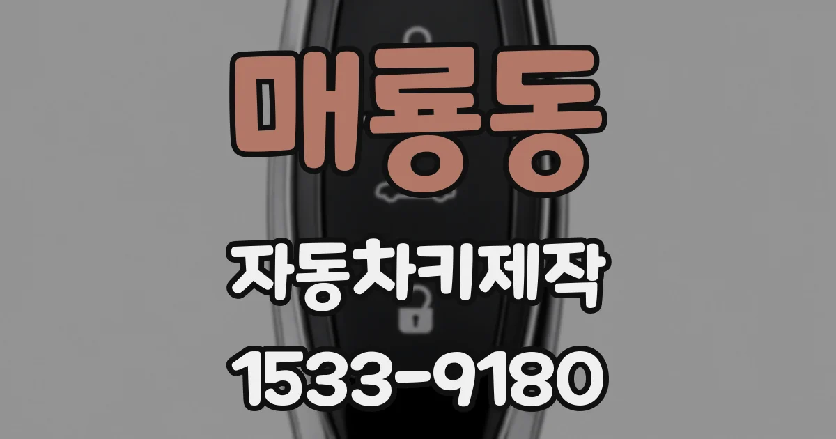 매룡동 자동차키제작