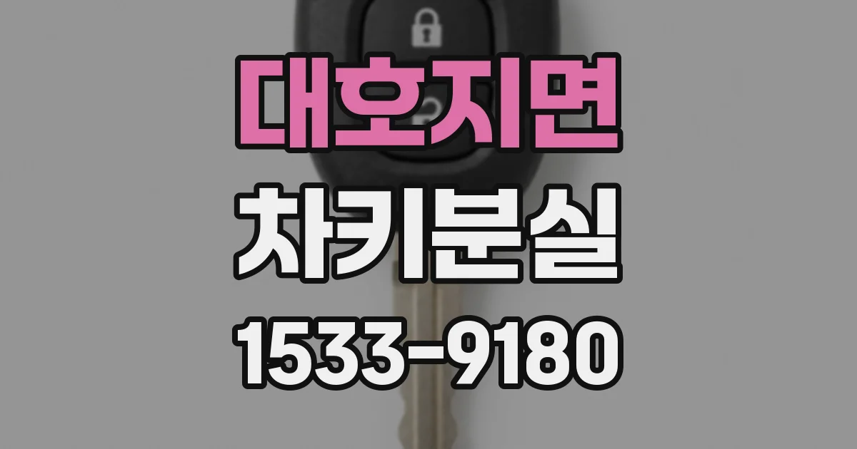 대호지면 차키분실